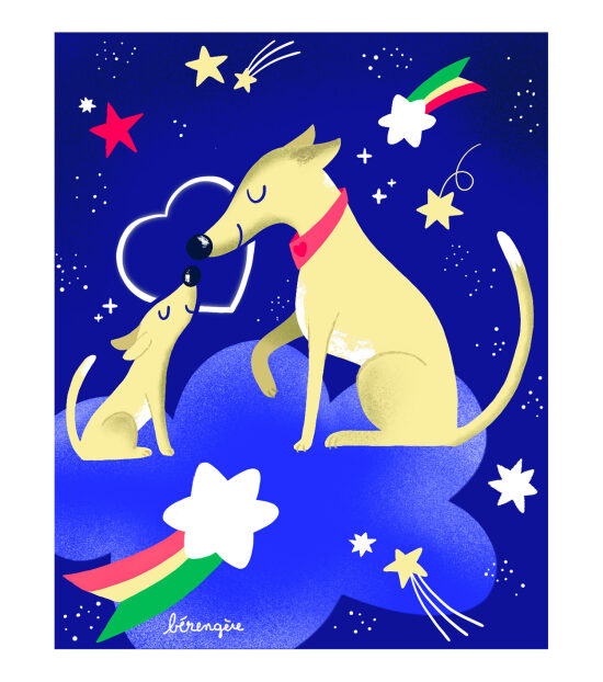 Whippets