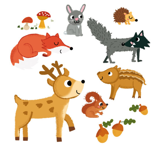 Les illustrations